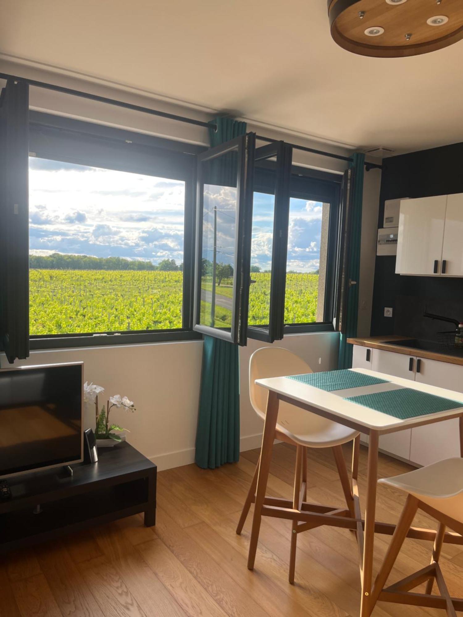 Appartement 2 Chateau La Rose Des Vents Puisseguin Exterior foto